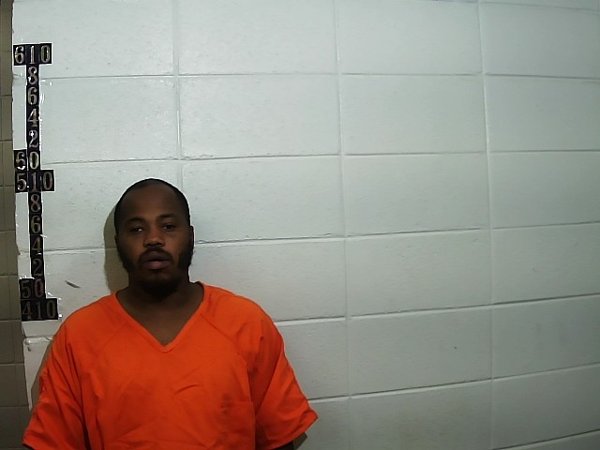 Mugshot of TRAVIS JAMES NEWELL