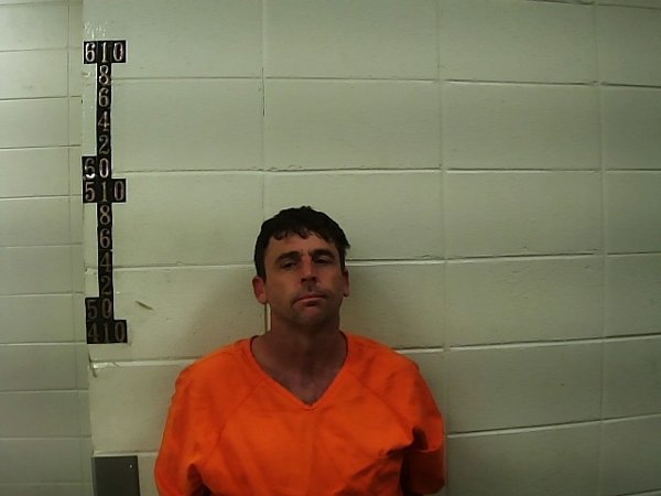 Mugshot of WILLIAM HARRIS JR FREEMAN