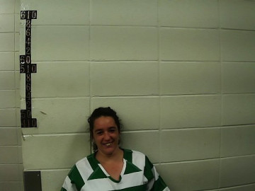 Mugshot of ALISA RENNE LOVETT
