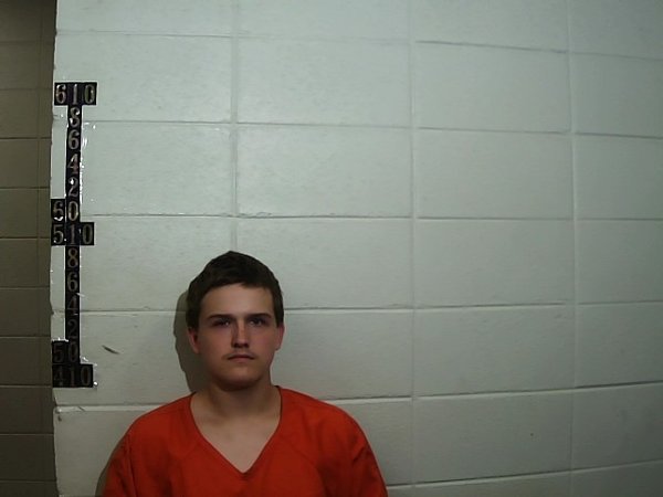 Mugshot of LARRY DYLAN CARR