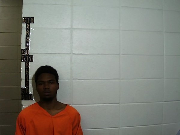 Mugshot of TYLER ZADRICK ULMER