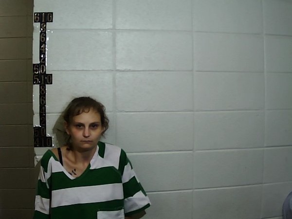 Mugshot of April Nichole Parker