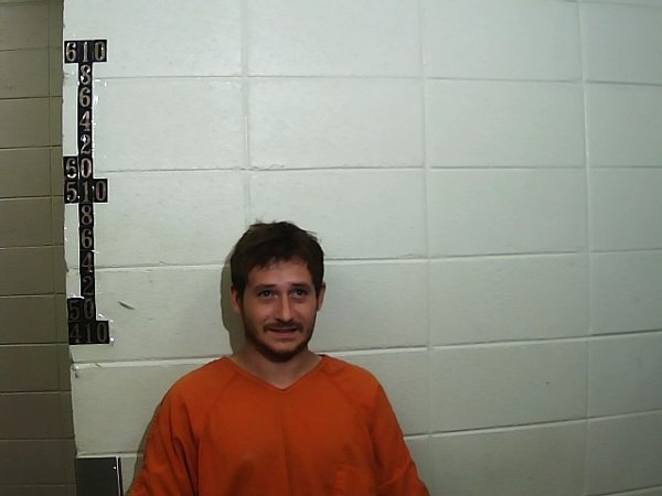 Mugshot of WILLIAM H BRITT