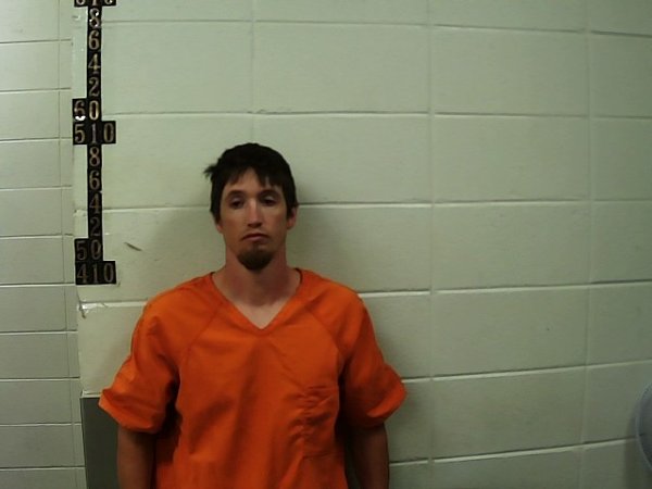Mugshot of BRADY HUNTER HOLLINGSWORTH