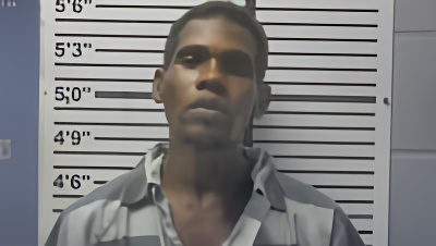 Mugshot of DANUELLE WINDHAM