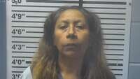 Mugshot of ENEDINA MORALES