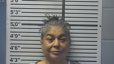 Mugshot of RHONDA HALES