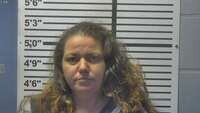 Mugshot of FELICIA HOLLINGER