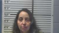 Mugshot of BRANDY WATSON