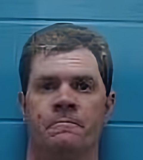 Mugshot of BRIAN C SWAIN