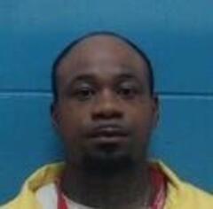 Mugshot of LUTHER E JOHNSON