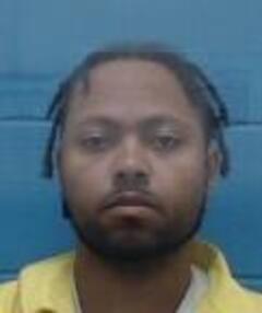 Mugshot of ROMAN HINES