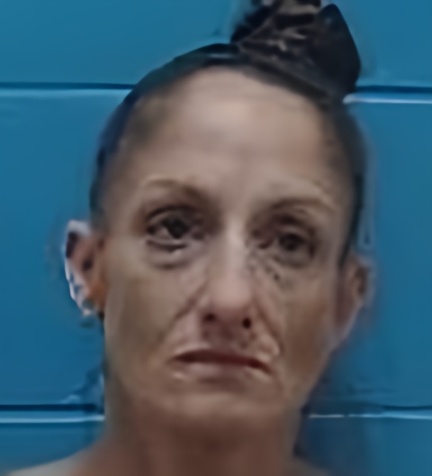 Mugshot of SHANNON NICOLE DAVIS - MOORE