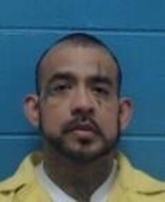 Mugshot of JOE E FLORES