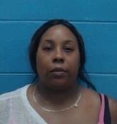 Mugshot of ERICA RENAY HILLIE