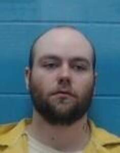 Mugshot of JADEN B ROLLINS