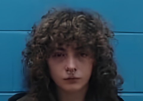 Mugshot of MATTHEW WILLIAMS