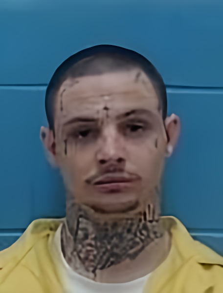 Mugshot of LEON C COLLIER