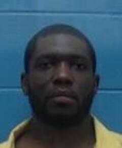 Mugshot of TRAVELL Q LANIER