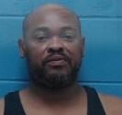 Mugshot of DELROY MING