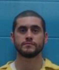 Mugshot of DAVID S ALAMOND