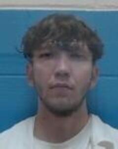 Mugshot of DAVID S POZDNYAKOV