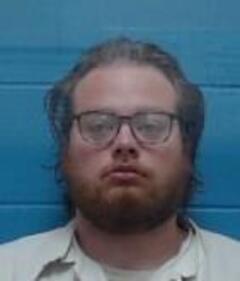 Mugshot of TREVOR N POSEY