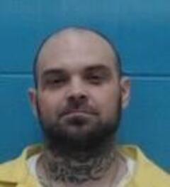 Mugshot of STEVEN R THORNTON