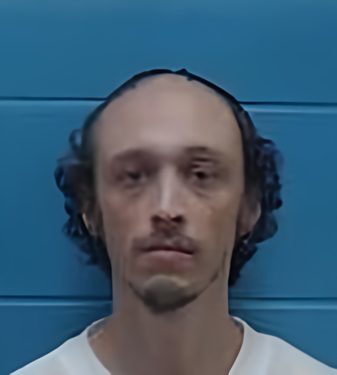 Mugshot of RICHARD AARON JOLES