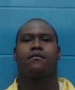 Mugshot of LARRY BELL