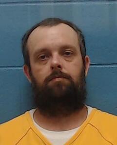 Mugshot of SHANE MOULDS