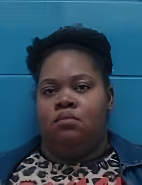 Mugshot of ASHLEY N STYLE