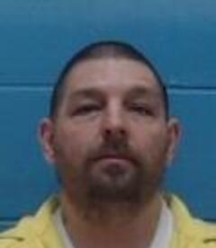 Mugshot of MICHAEL S MCGEE