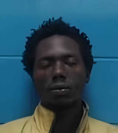 Mugshot of KEEN YOUNG