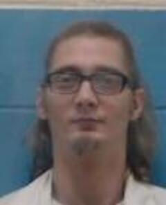 Mugshot of LUKE A BARTON