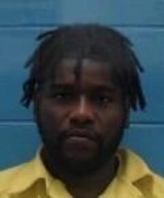 Mugshot of JOE S MCGREW