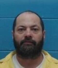 Mugshot of MICHEAL W FOWLER