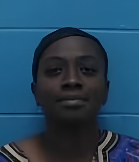 Mugshot of CHARITY ANN HEARN