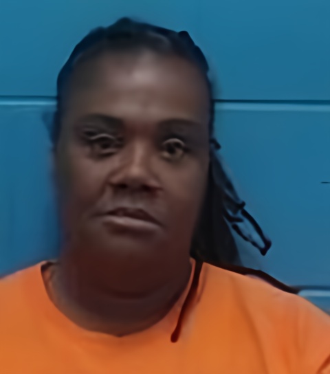Mugshot of LATOYA RENEE SEARS