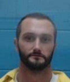 Mugshot of AUSTIN M LEWIS