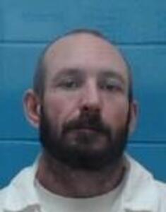 Mugshot of SHANNON D NORWOOD
