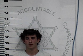 Mugshot of LOGAN JAMES MITCHELL