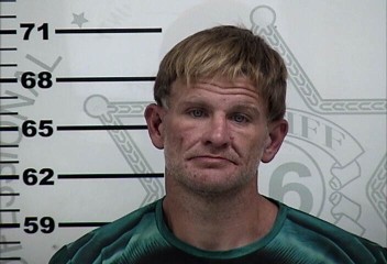 Mugshot of MICHAEL WAYNE LIPPERT
