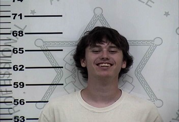 Mugshot of DAVID ESTON HALL