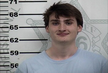 Mugshot of WALTER JACKSON JR GARNER