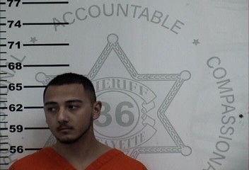 Mugshot of BRIAN AUSTIN DELOACH