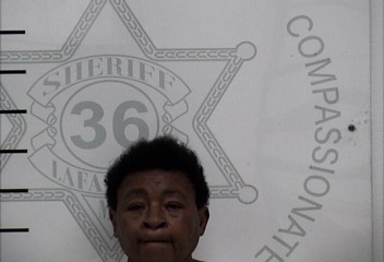 Mugshot of LEISA JOE JOHNSON