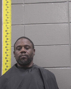 Mugshot of LEOTHA SCOTT