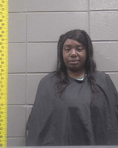 Mugshot of YASEMIN NORRIS