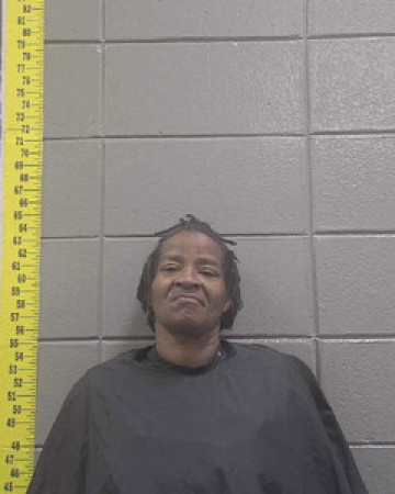 Mugshot of BARBARA LEWIS